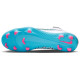 Nike Vapor 15 Club FG/MG